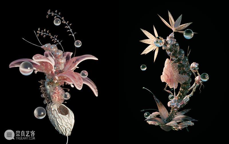 CYE × 宋宗泰 :新世界幻想 视频资讯 Mingyuan Museum 崇真艺客
